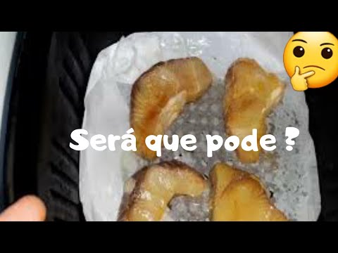 Papel manteiga pode ir na airfryer?