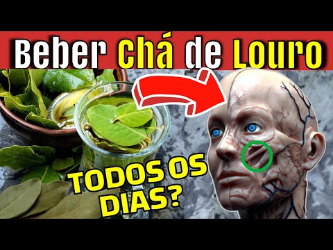 Para que serve o chá de louro?