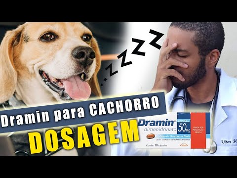 Pode dar Dramin para cachorro?