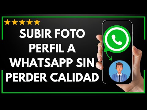 Por que a foto perde qualidade no perfil do WhatsApp?