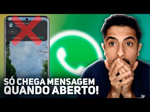 Por que a pessoa está online, mas não recebe mensagens no WhatsApp?