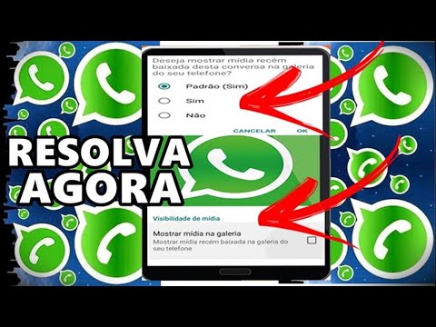 Por que as fotos baixadas no WhatsApp não aparecem na galeria?