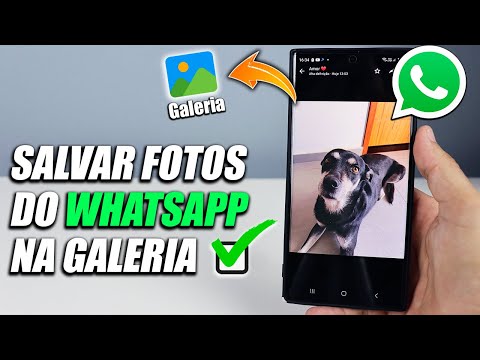 Por que as fotos do WhatsApp não aparecem na galeria do iPhone?