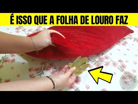 Por que colocar folhas de louro no travesseiro?