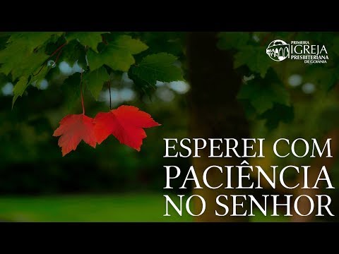 Por que esperei com paciência no Senhor?