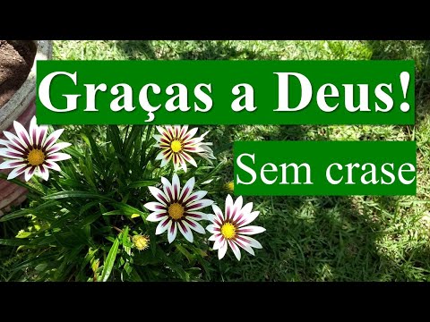 Por que graças a Deus tem crase?