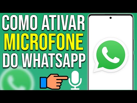 Por que o microfone do Zap não funciona?