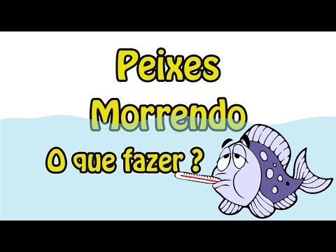 Por que o peixe está morto no aquário?