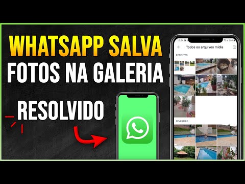 Por que o WhatsApp não está salvando fotos na galeria?