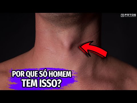 Por que os homens têm gogó?