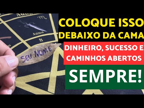 Por que você deve ter 3 folhas de louro na carteira?