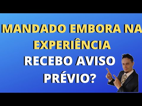 Por que você pode ser mandado embora durante o período de experiência?