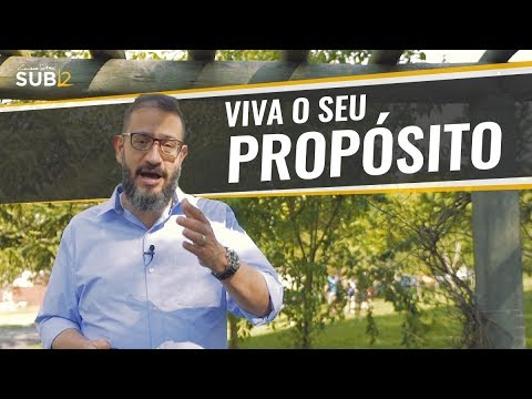 Quais são alguns exemplos de propósito de vida?