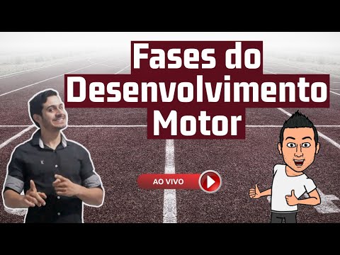 Quais são as 4 fases do desenvolvimento motor?