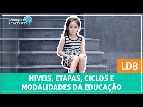 Quais são as 7 modalidades da educação básica?