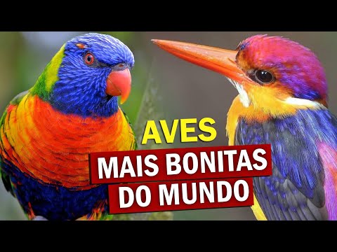 Quais são as cores mais bonitas do mundo?