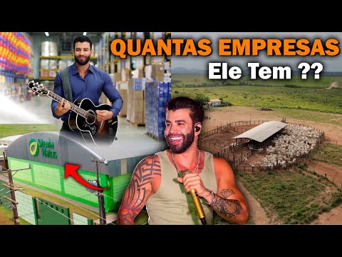 Quais são as empresas do Gusttavo Lima?