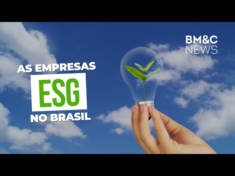 Quais são as empresas mais sustentáveis do Brasil?