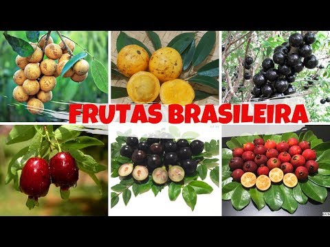 Quais são as frutas que não existem no Brasil?