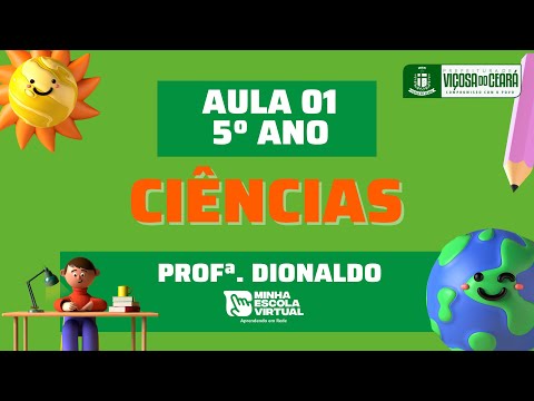 Quais são as matérias do 5º ano?