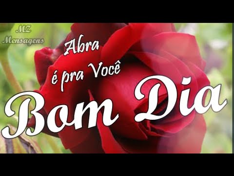 Quais são as novas figurinhas de bom dia?