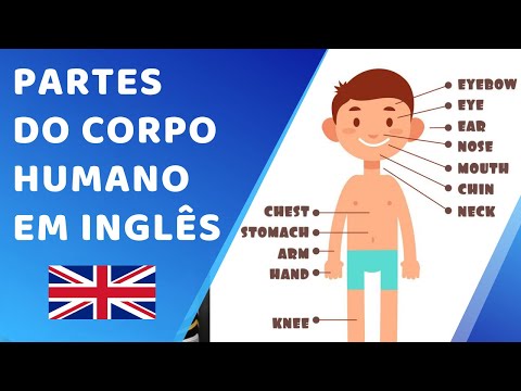 Quais são as partes do corpo humano em inglês?