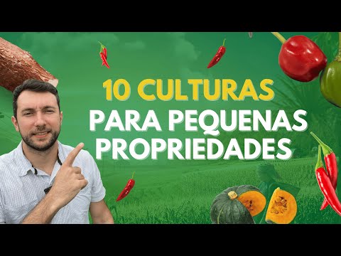 Quais são as pequenas plantações que dão lucro?