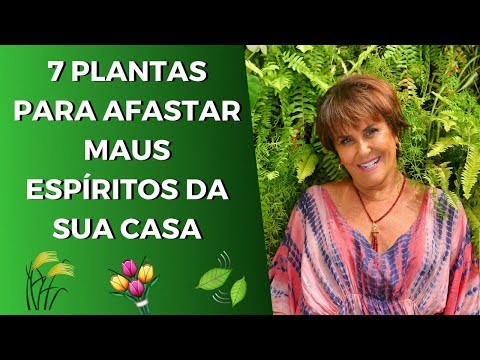 Quais são as plantas que dão azar?