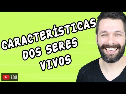 Quais são as principais características de um vlog?