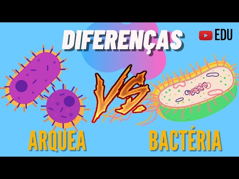 Quais são as principais diferenças entre Archaea, Bactérias e Eukarya?