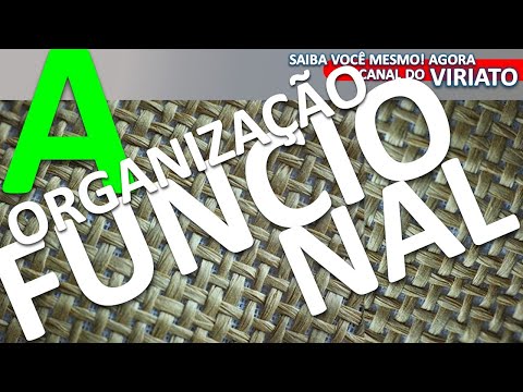 Quais são as vantagens e desvantagens da estrutura funcional?