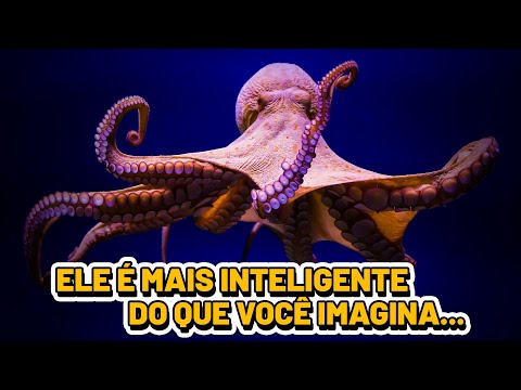 Quais são os 20 animais mais inteligentes do mundo?