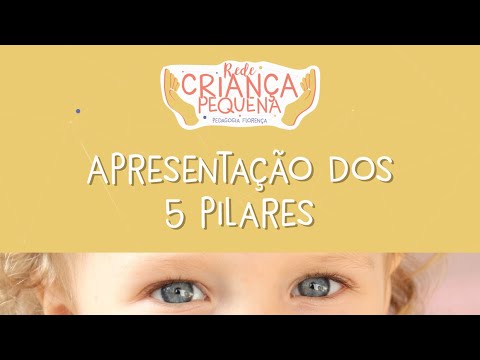 Quais são os 5 pilares da educação infantil?