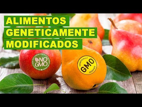 Quais são os alimentos que o Brasil importa?