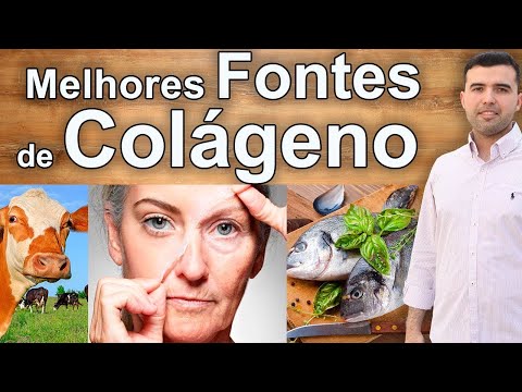 Quais são os alimentos ricos em colágeno?