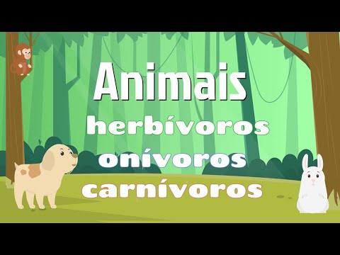 Quais são os animais onívoros e como eles se alimentam?