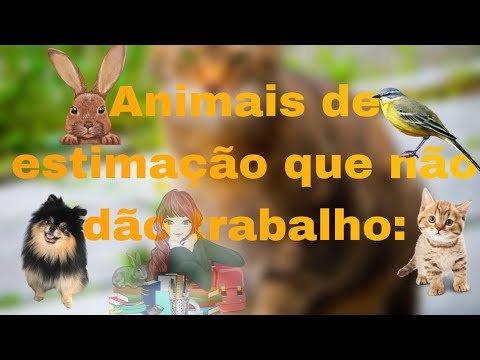 Quais são os animais que não dão trabalho?