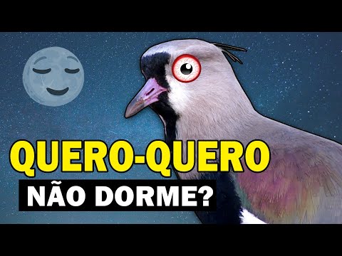 Quais são os animais que simbolizam o Brasil?