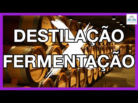 Quais são os diferentes tipos de bebidas alcoólicas?