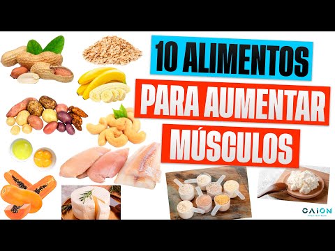 Quais são os melhores alimentos para ganhar massa muscular?