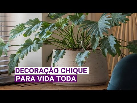 Quais são os melhores vasos decorativos para sala?