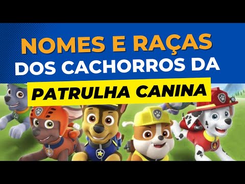 Quais são os nomes dos cachorros da Patrulha Canina?