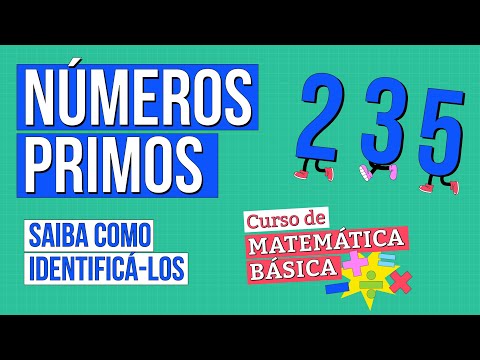 Quais são os números primos e como identificá-los?