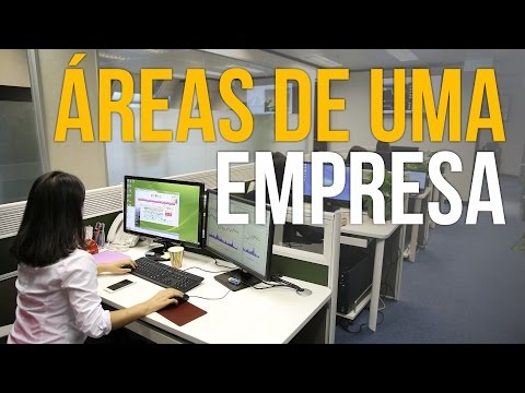 Quais são os principais setores de uma empresa?