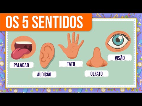 Quais são os sentidos do corpo humano?