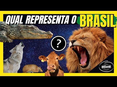 Qual animal representa cada time?