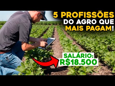 Qual área da agronomia é a mais lucrativa?