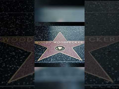 Qual astro de Hollywood não tem uma estrela na Calçada da Fama em Los Angeles?