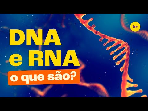 Qual é a diferença entre DNA e RNA?