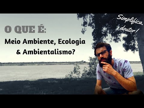 Qual é a diferença entre ecologia e meio ambiente?